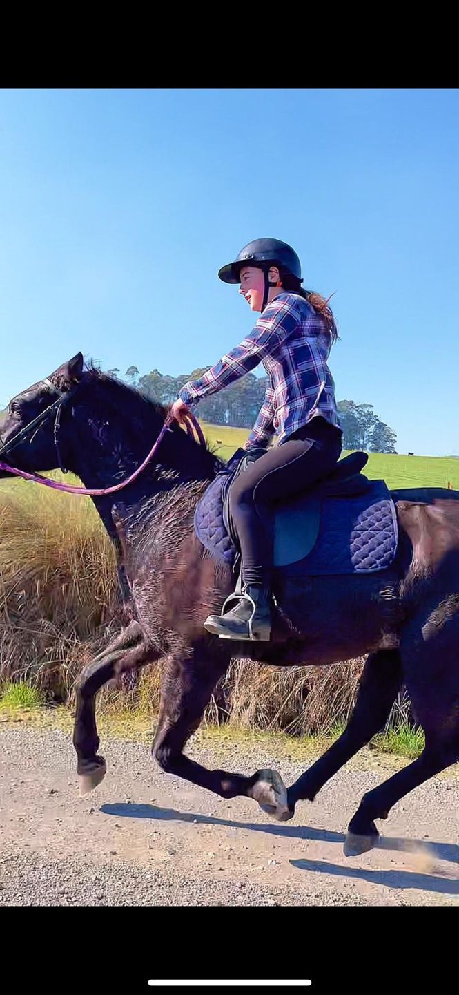 Customer photo review of Kentaur ‘Neo’ Non Slip Saddle Pad