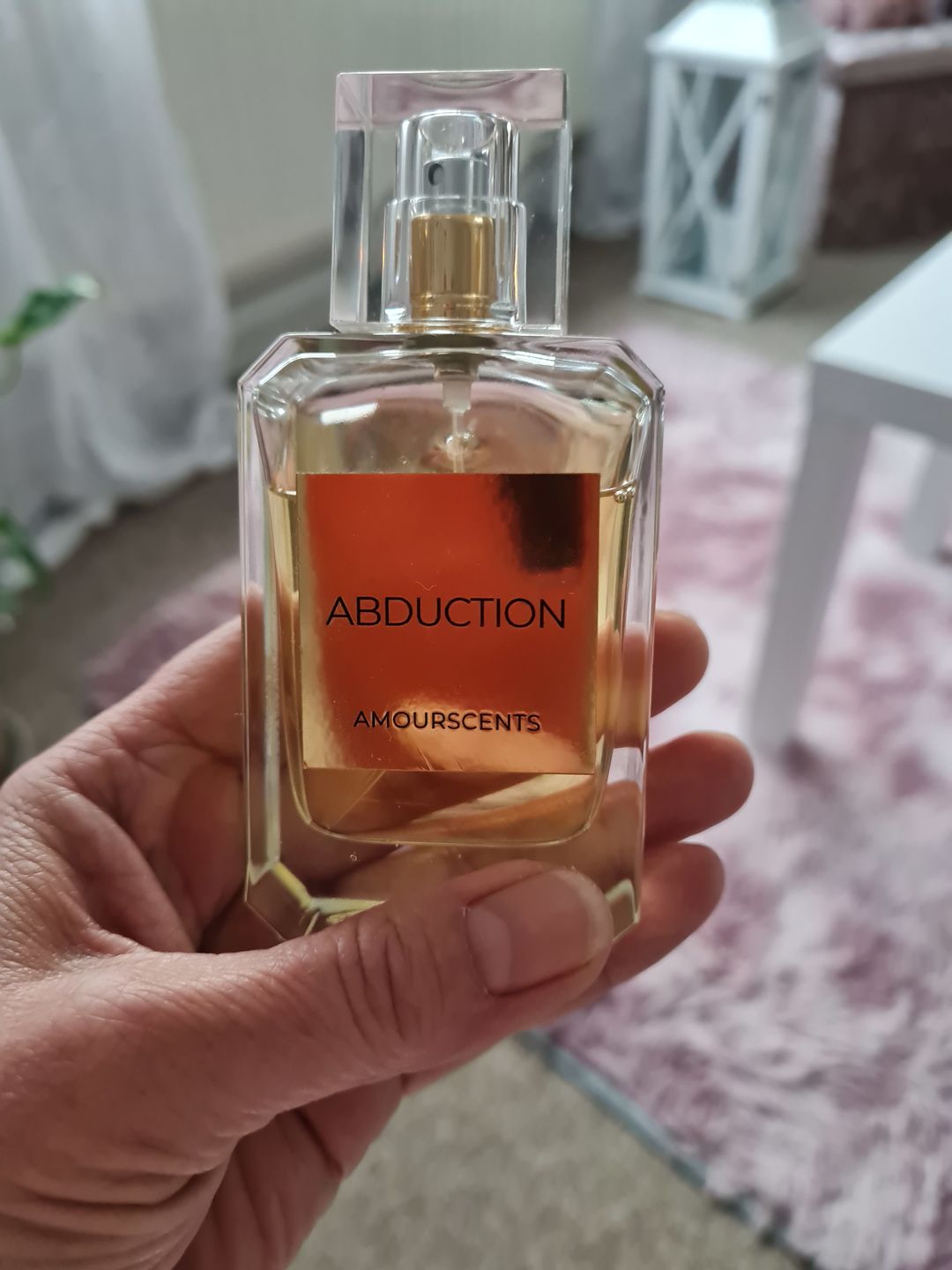 Customer photo review of Alien (Inspired) - Abduction