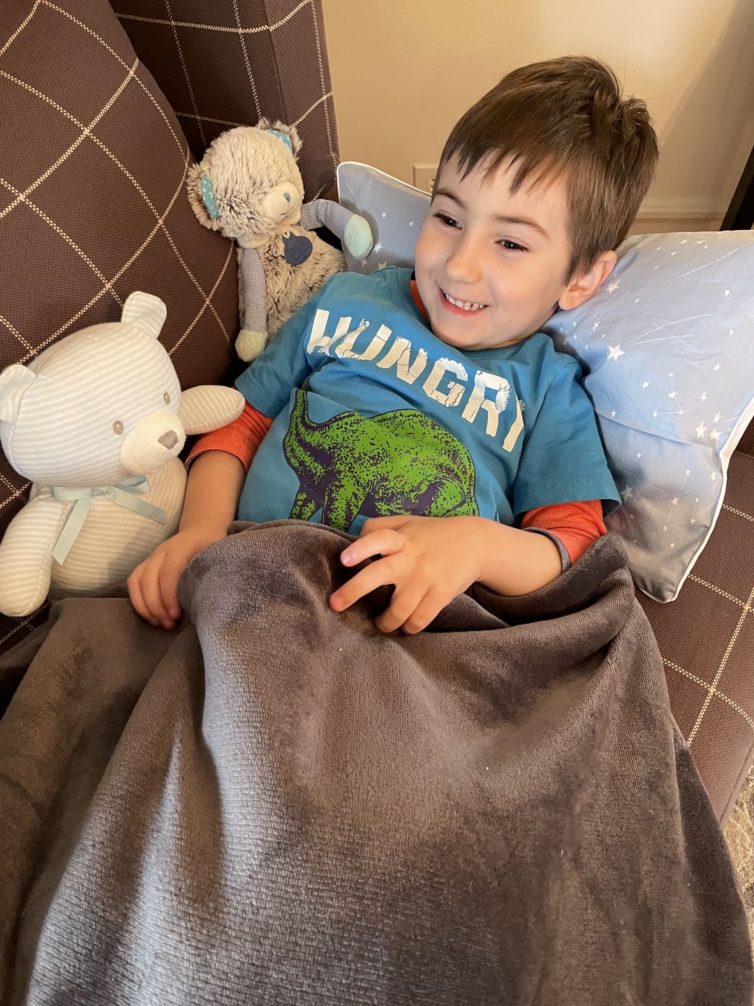 Customer photo review of Toddler Pillow Down Insert