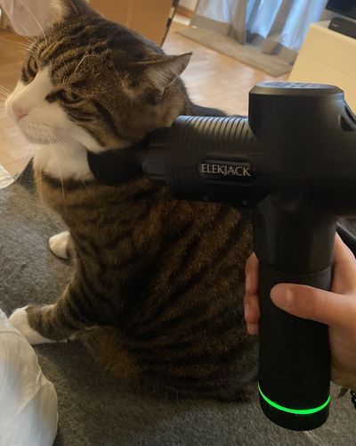 Customer photo review of ELEKJACK® Massagepistole