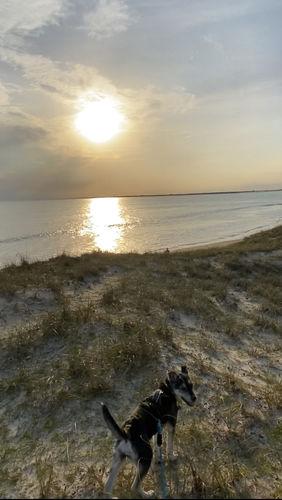 Customer photo review of Explorer