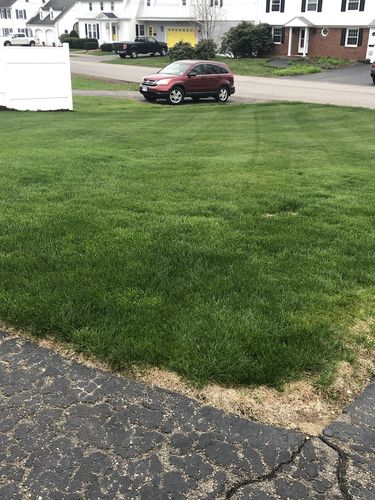 Customer photo review of Protene Hybrid Summer Fertilizer 6-0-0 +14% Fe