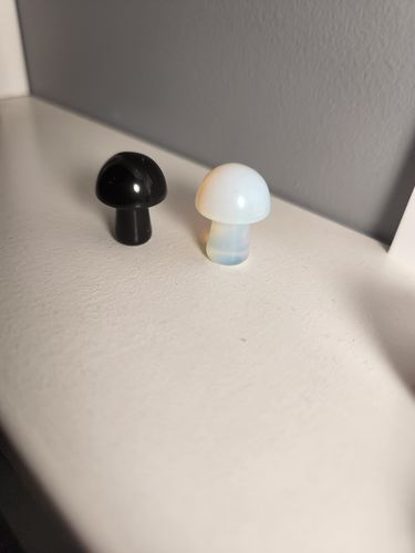 Customer photo review of Opalite + Obsidian Mini Mushroom Duo