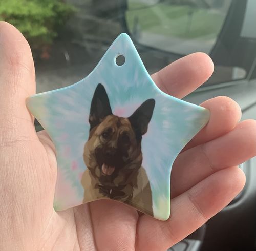 Customer photo review of Custom Pet Ornament