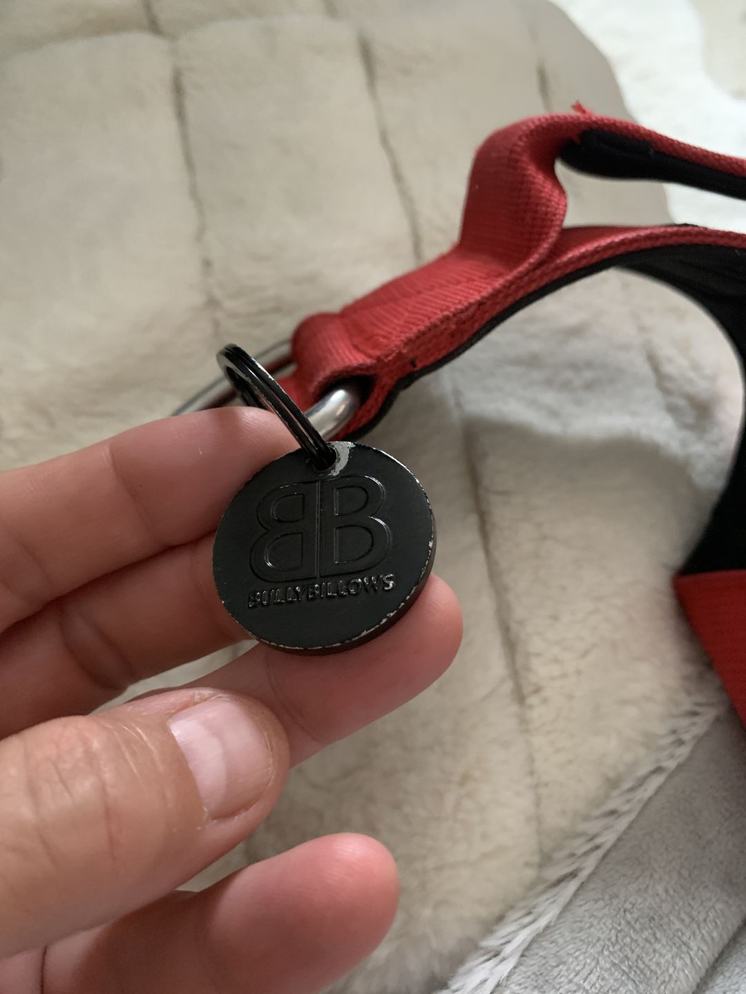 Customer photo review of ID Dog Tag - Black (With Gift Box)