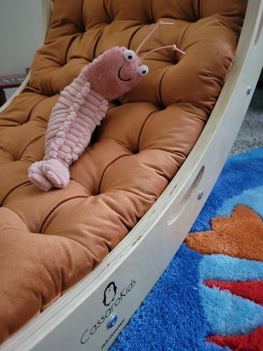 Customer photo review of Jumbo Rocker Pillow - Burnt Orange