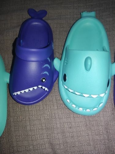 Customer photo review of Sharks Slippers Color Wars