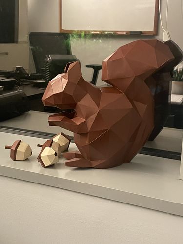 Customer photo review of 3D Squirrel Model