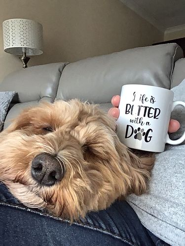 Customer photo review of Girl & Dogs - Life is better with a dog Personalised Mug