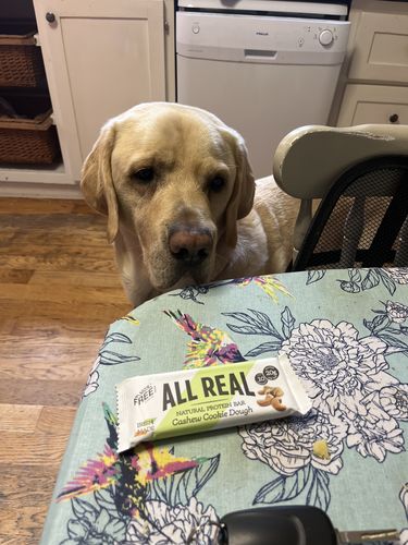 Customer photo review of Cashew Cookie Dough Protein Bar