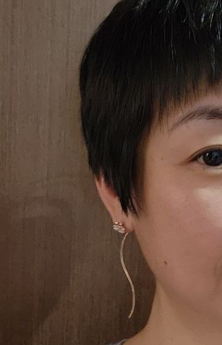Customer photo review of La D.D One-sided Gold Earring JDDERVS03ZC