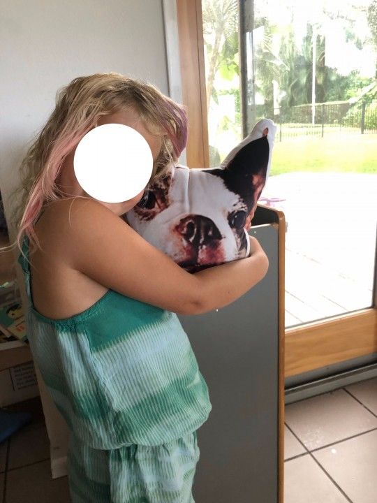 Customer photo review of Custom Pet Face Shaped Pillow from Your Pet Photos, Customized Pet Head Pillows