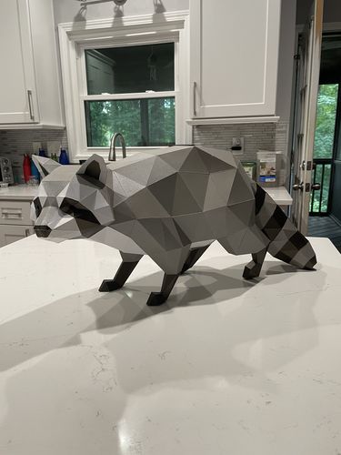 Customer photo review of Raccoon Model