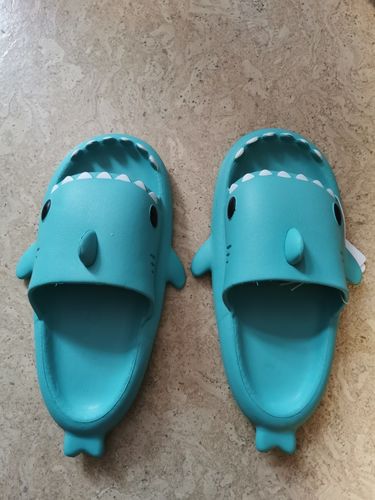 Customer photo review of Sharks Slippers Color Wars