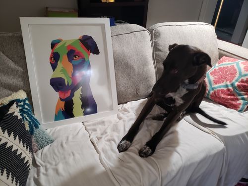 Customer photo review of Limited Edition Custom Pet Pop Portraits