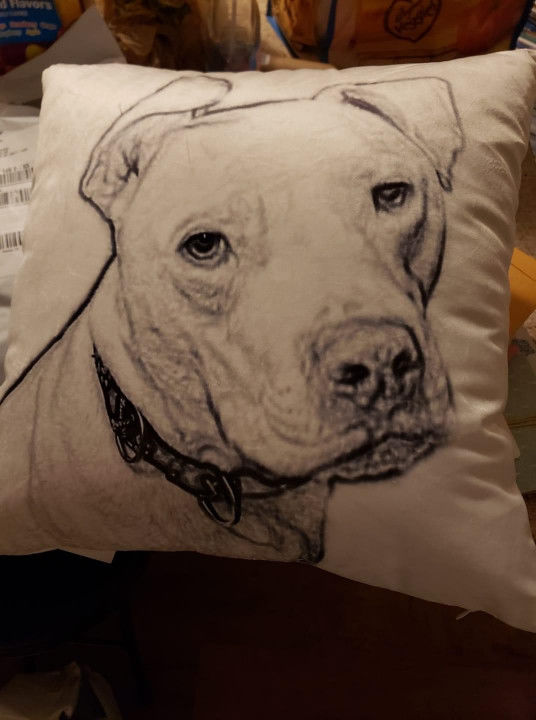 Customer photo review of Custom Pet Sketch Portrait Art Square Pillow
