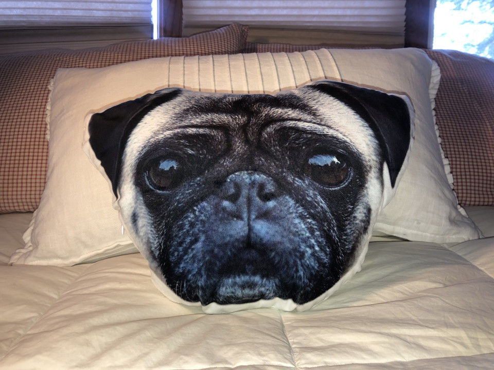 Customer photo review of Custom Pet Face Shaped Pillow from Your Pet Photos, Customized Pet Head Pillows
