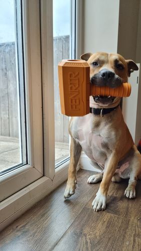 Customer photo review of The Fenrir Hammer