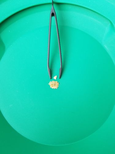 Customer photo review of 2 Lb. JACKPOT PAYDIRT™ Gold Paydirt Unsearched