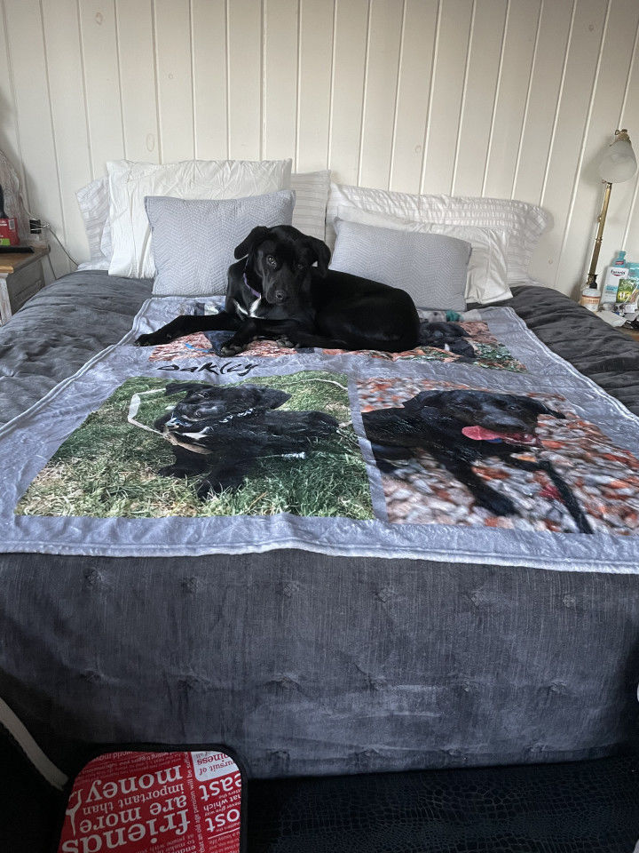 Customer photo review of Custom Pet Photo Collage Editable Color Fleece Blanket with 4 Pet Photos
