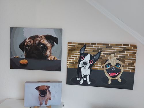 Customer photo review of Malen nach Zahlen - Zwei Französische Bulldoggen