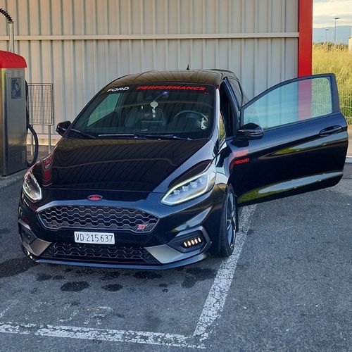 Customer photo review of Fiesta MK8 ST/ST Line "Race" Style Fog Light Armour