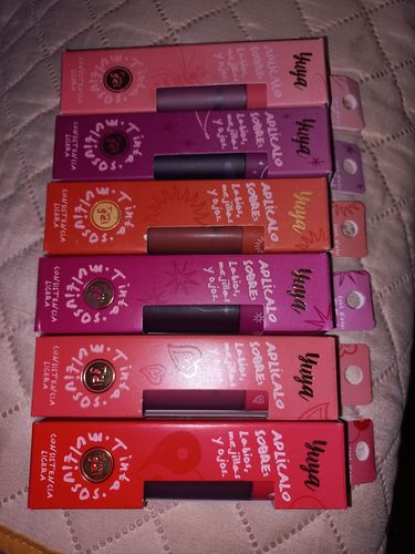 Customer photo review of Paquete 6 tintas multiusos