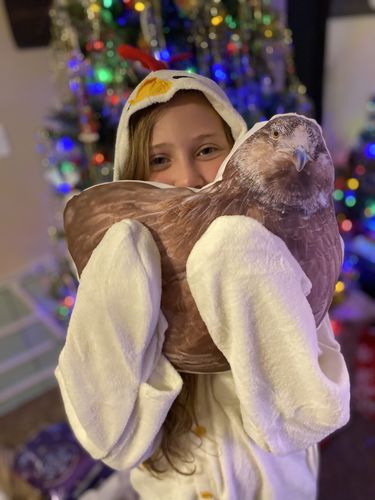 Customer photo review of Create A Custom Animal Pillow