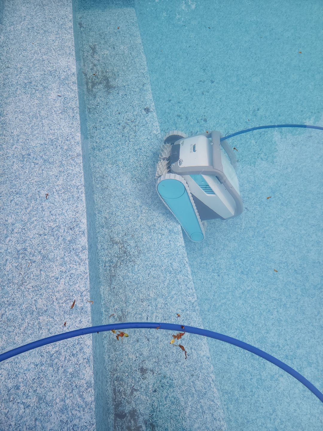 Customer photo review of Dolphin Active 60  Robotic Pool Cleaner