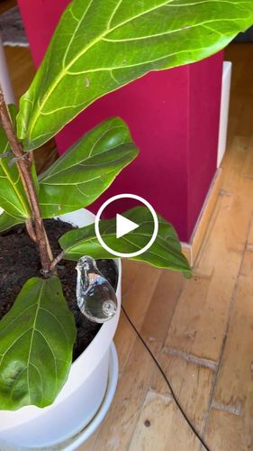 Customer video review of Mon petit oiseau - Le Jardin de Mamie®