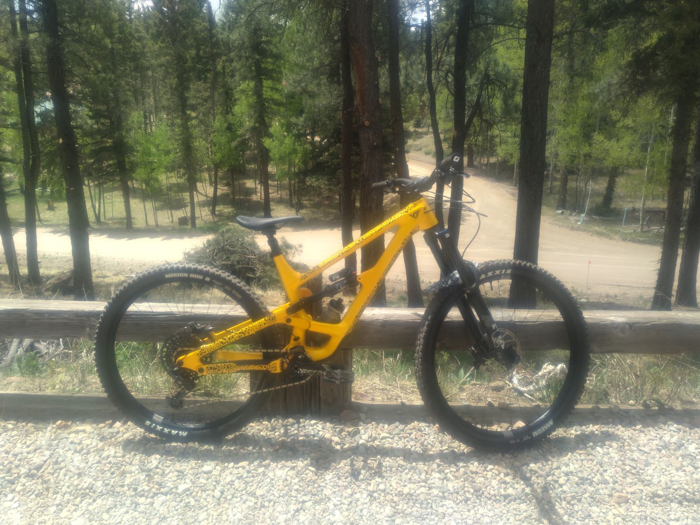 Customer photo review of Cheetah Frame Keeper
