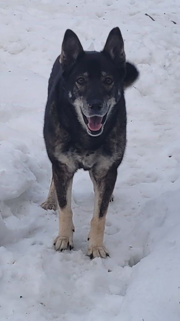 Customer photo review of Snout Balm
