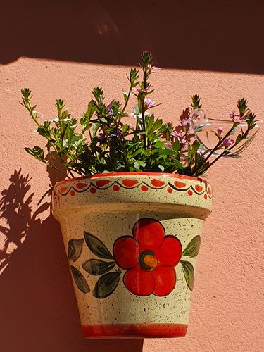 Customer photo review of Mon petit oiseau - Le Jardin de Mamie®