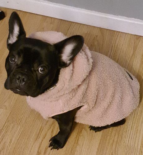 Customer photo review of Teddy Sherpa Jacket - Pink