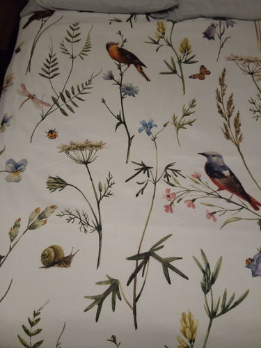 Customer photo review of Butterfly Birds Floral GLBJ2631 Bedding Set