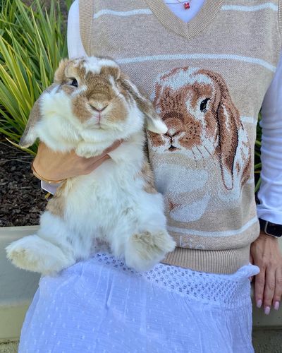 Customer photo review of Custom Pet Sweater Vest (pre-sale)