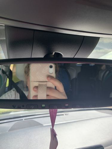 Customer photo review of Tropical Palms