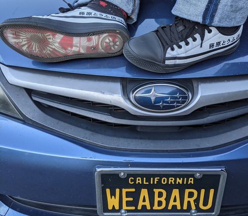 Customer photo review of HTXJPN Fuji2 Low Top Sneakers