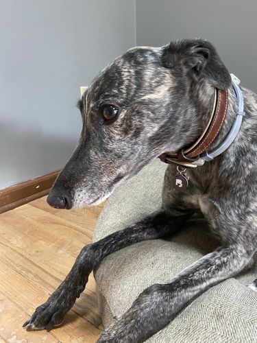 Customer photo review of Black