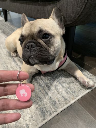 Customer photo review of Pink