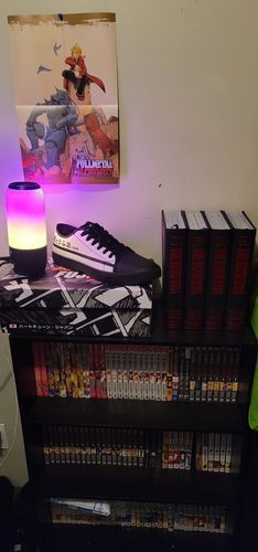 Customer photo review of HTXJPN Fuji2 Low Top Sneakers