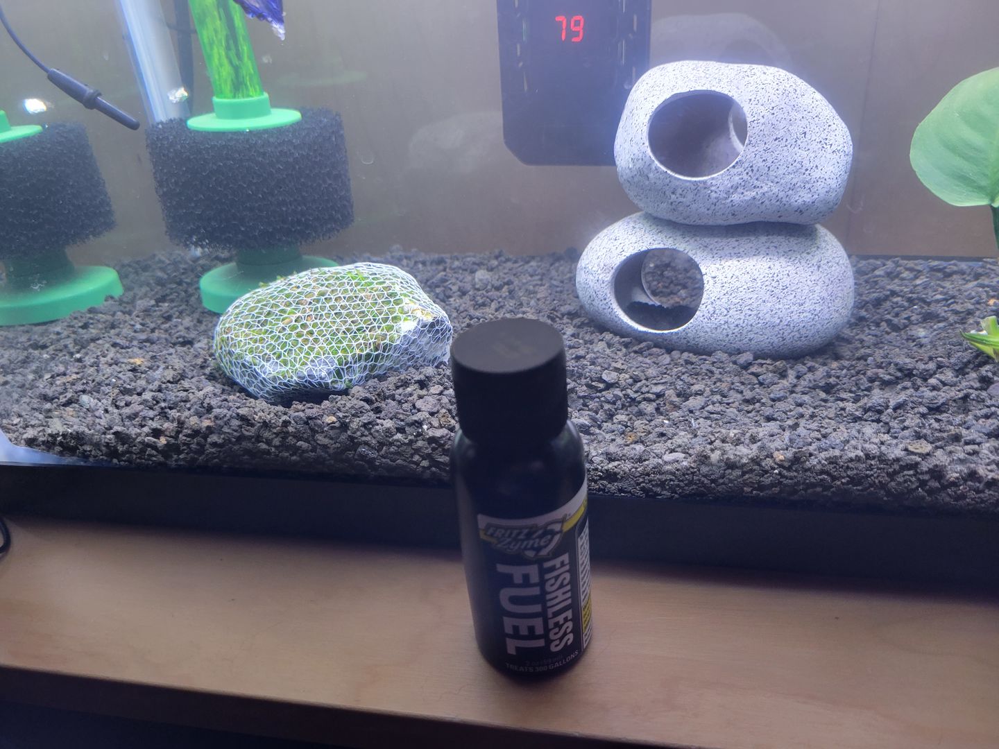 Customer photo review of Fritz Fishless Fuel (Liquid Ammonia Solution)