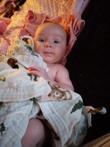 Customer photo review of Curated Monthly Baby Box