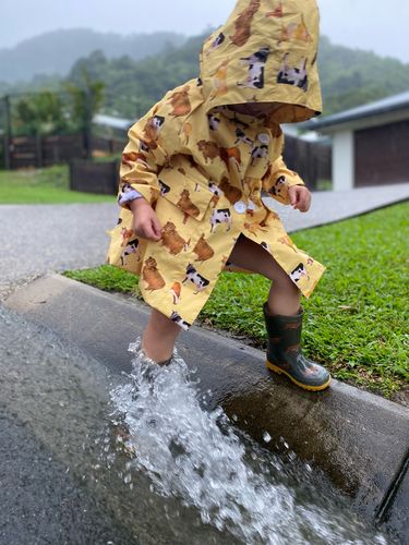 Customer photo review of Cows Raincoat