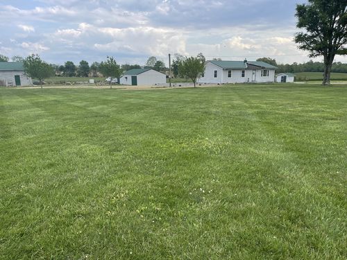 Customer photo review of Protene Performance Spring Fertilizer