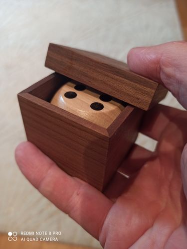 Customer photo review of Dice Vision by TCC & Conan Liu