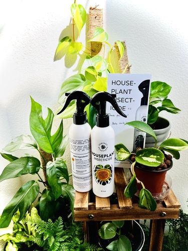 Customer photo review of Houseplant Insecticide w/ Neem