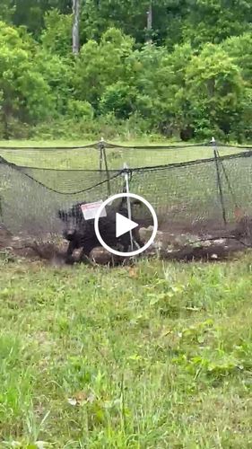 Customer video review of Pig Brig Trap System