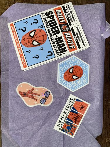 Customer photo review of Neighborhood Spidey Sticker Pack