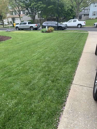 Customer photo review of 18-0-1 GreenePunch